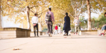 新华小二专业优势